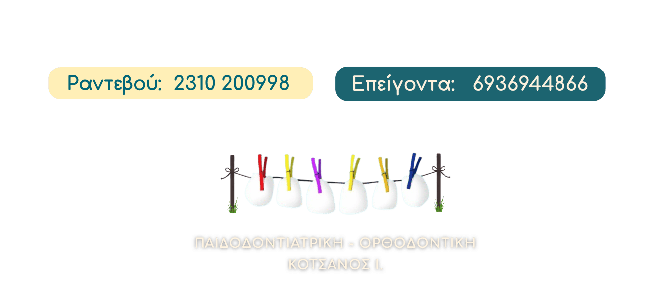 Construction vector